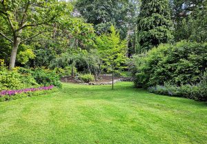 Optimiser l'expérience du jardin à Onay