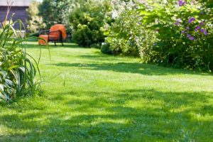 travaux jardin et paysage Onay